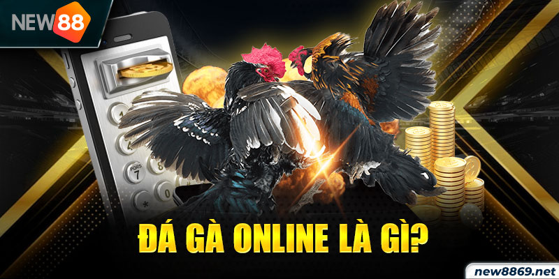 Đá gà online là gì? 