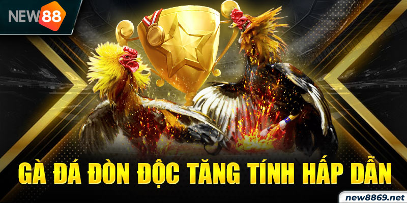 Gà đá đòn độc tăng tính hấp dẫn