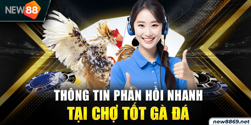 Thông tin phản hồi nhanh tại chợ tốt gà đá