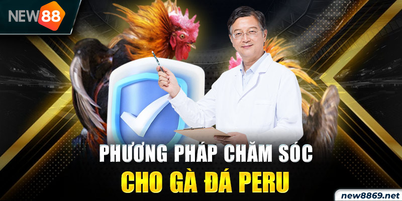 Phương pháp chăm sóc cho gà đá Peru