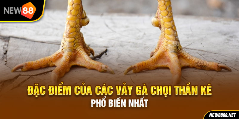 Đặc điểm của các vảy gà chọi thần kê phổ biến nhất