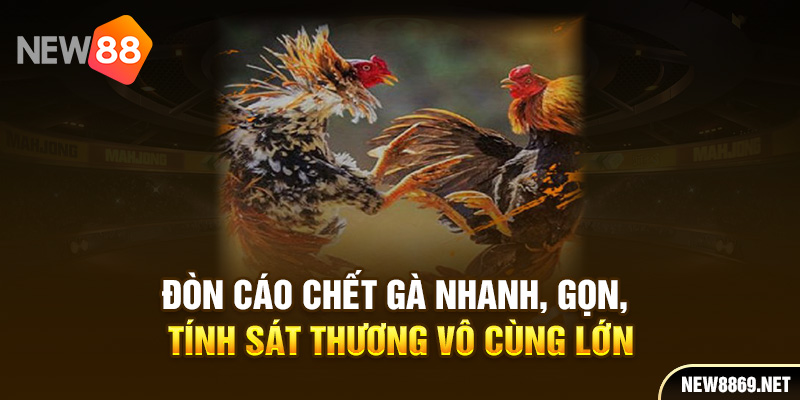 Đòn cáo chết gà nhanh, gọn, tính sát thương vô cùng lớn