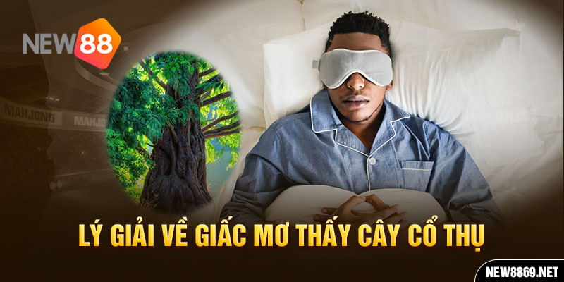 Lý giải về giấc mơ thấy cây cổ thụ