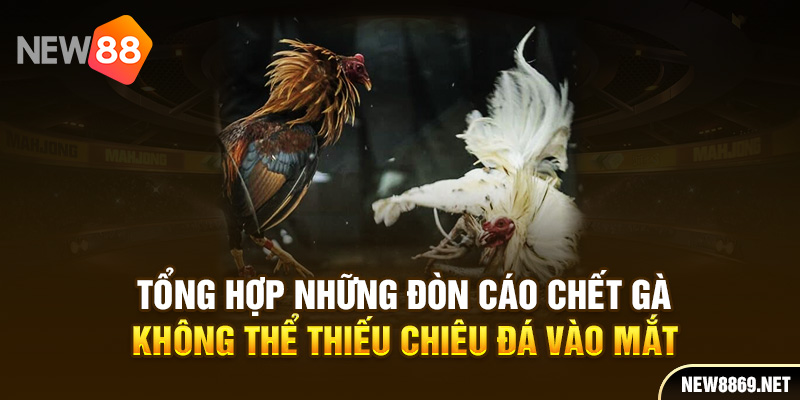 Tổng hợp những đòn cáo chết gà không thể thiếu chiêu đá vào mắt