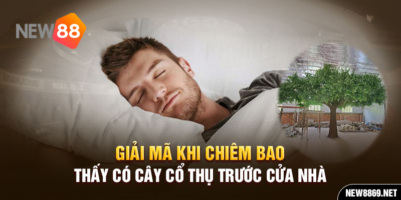 Giải mã khi chiêm bao thấy có cây cổ thụ trước cửa nhà