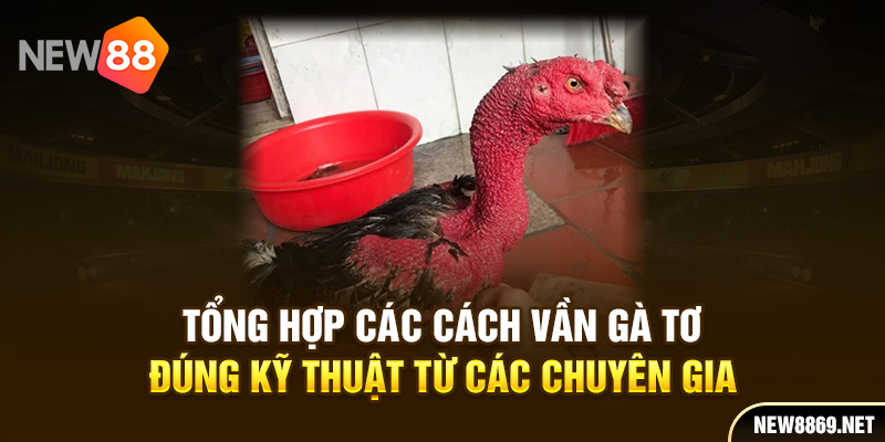 Tổng hợp các cách vần gà đúng kỹ thuật từ các chuyên gia