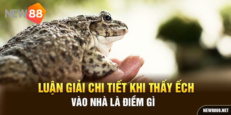 Luận giải chi tiết khi thấy ếch vào nhà là điềm gì